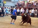 Betxí cierra el capítulo taurino con dos espectaculares toros