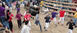 onda-concentrara-a-expertos-y-aficionados-taurinos-en-una-jornada-tecnica-alrededor-de-la-seguridad-en-els-bous-al-carrer