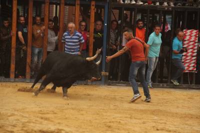 Nules abre las fiestas de la Soledad con un toro de Lagunajanda
