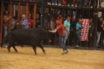 Nules abre las fiestas de la Soledad con un toro de Lagunajanda