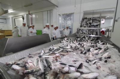 Moragues destaca la excelencia de la industria alimentaria valenciana, galardonada por el Gobierno con los Premios Alimentos de España