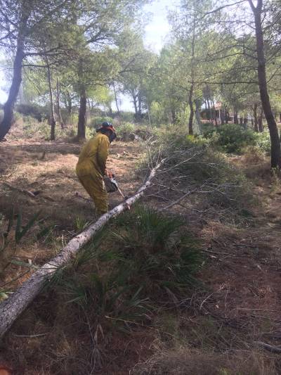 El Ayuntamiento activa un proyecto para la prevención de los incendios forestales en parcelas de la localidad