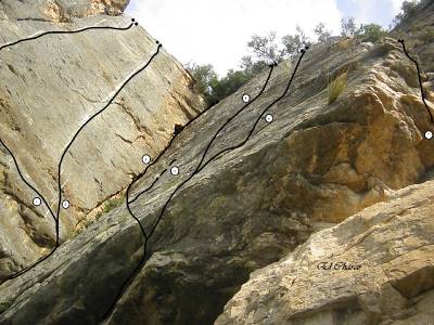 El injusto olvido de la zona de escalada de Ribesalbes