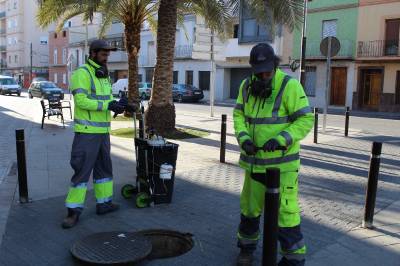 La campanya especial de desinsectació per a panderoles en marxa