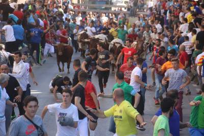 Encierro rápido y limpio, para abrir las fiestas de Sant Pasqual