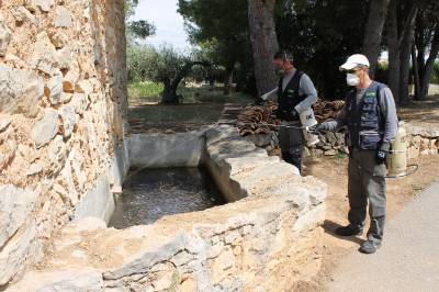 Vall d’Alba pone en marcha una campaña para evitar la plaga de insectos durante el verano