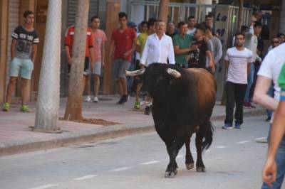 Vila-real cierra el capítulo taurino de las fiestas de Sant Pasqual