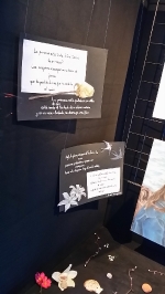 Fotografia /Galeria/2017/5/157988_90651/5_M1.jpg