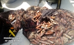 La Guardia Civil investiga a tres personas por la extracción ilegal de moluscos en Vinaròs