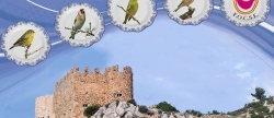 cerca-de-1000-personas-y-713-participantes-en-el-nacional-de-pajaros-cantores-de-l-alcora