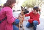 Salud Pública organiza una charla para dueños de mascotas para saber actuar ante una emergencia