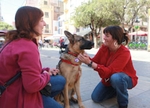 Salud Pública organiza una charla para dueños de mascotas para saber actuar ante una emergencia