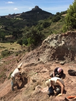 Noves restes de dinosaures al jaciment del Mas de Romeu de Morella