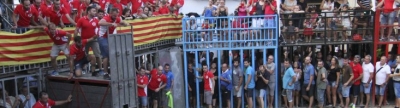 Bous de Quatretonda i Albacete, a Vilafamés