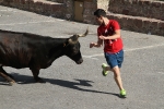 Fernando Mansilla guanya el concurs de ramaderies a Vilafamés
