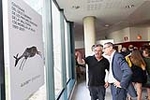 La UJI rendirá homenaje a los 100 años de arte rupestre en Castellón con una escultura-memorial que representará la cierva de la Cueva de los Caballos