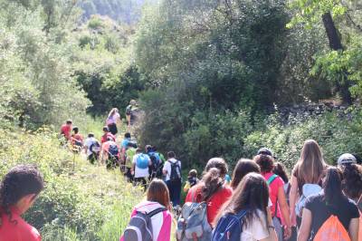 La campaña 'Mar i Muntanya' de la Diputación ha descubierto el patrimonio natural castellonense a más de 4.100 estudiantes