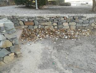 La Asociaciáin de Vecinos de Benicassim Sur, denuncia el estado de abandono de los parques de la zona