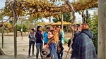 Visita del alumnado del proyecto T?Avalem Mancomunidad Espadán Mijares al Centro de Educación Ambientalde la Comunitat Valenciana