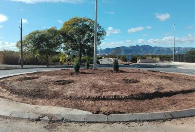 El Taller d'Ocupació de Jardineria T'*AVALEM continua adequant zones verdes i jardins de Borriana