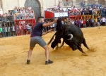 Comienzan en Nules los actos taurinos de las fiestas de la Soledad
