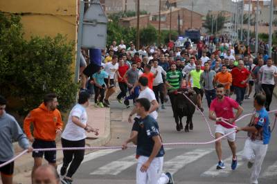El bou en corda torna a Les Alqueries