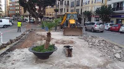 Diners per al nou edifici de Serveis Socials, no, però per a plantar un pi al Pla, sí