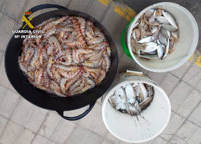 La Guardia Civil incauta 30 kilogramos de especies pesqueras en el puerto de Peñíscola