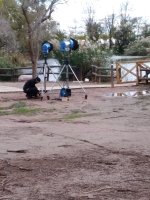 L'estany es promociona en la pel·lícula 'El cercle de l'aigua'