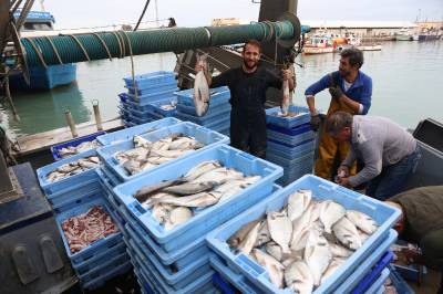 Tres barques peixquen quasi 6.000 kg d'orades
