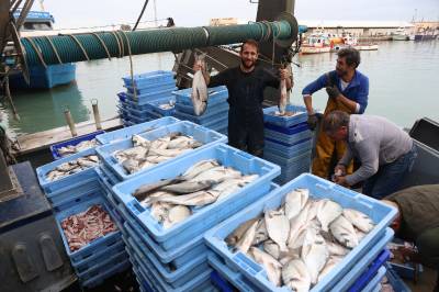 Tres embarcaciones pescan casi 6.000 kg de oradas