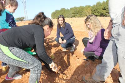 Los niños del colegio de Vall d’Alba plantan 250 pinos para celebrar el Día del Árbol