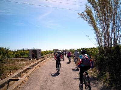 El CEB organizó una ruta en bici por el Río Mijares desde Burriana