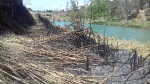 Un incendi crema 200 metres quadrats de vegetació al Paisatge Protegit de la Desembocadura del riu Millars