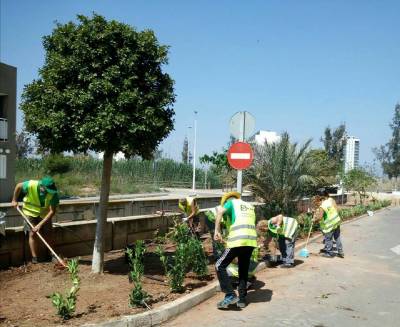 Moncofa adecua el Jardín anexo al Canal de Masbó
