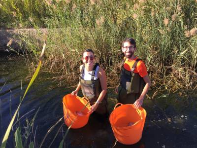 Torreblanca inicia un taller ambiental de tortugas en El Prat para el control de la población autóctona e invasora