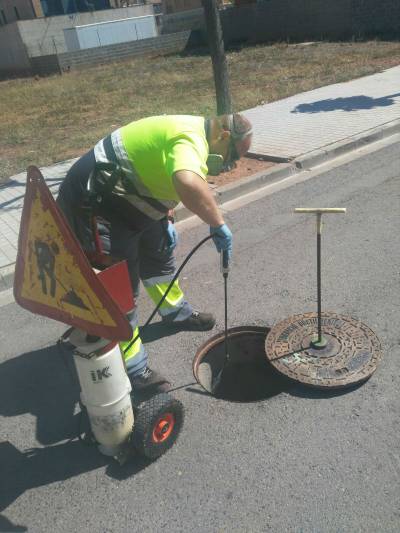 Almenara actua contra cucarachas y mosquitos