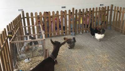 La granja móbil del Tio Miguel visita l'escola infantil municipal d'Almenara