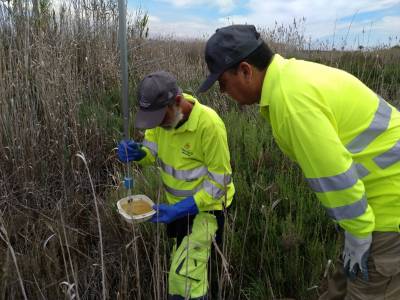 Xilxes intensifica los tratamientos contra los mosquitos en las zonas exteriores a los núcleos urbanos