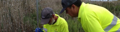 Xilxes intensifica los tratamientos contra los mosquitos en las zonas exteriores a los núcleos urbanos