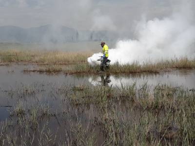 Nules intensifica los tratamientos para reducir poblaciones de mosquitos ante la acumulación de agua en el término municipal