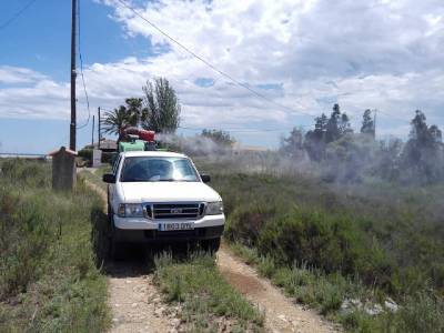 Torreblanca intensifica els tractaments de prevenció de mosquits després de la pluges dels últims dies
