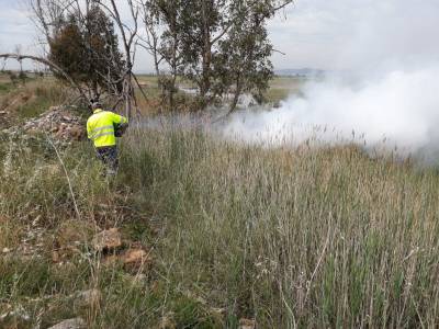 Moncofa en pie de guerra contra los mosquitos
