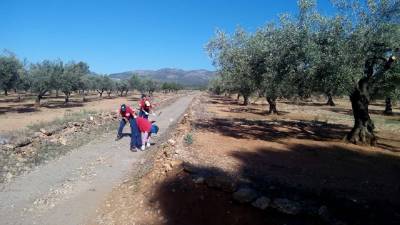 Les Coves de Vinromà acondiciona caminos rurales y parajes del término municipal