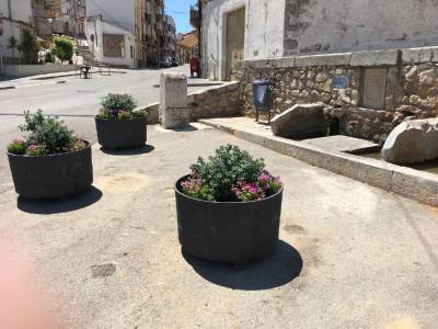 Les Coves de Vinromà recibirá al jurado del programa 'Viles en flor' el 10 de julio