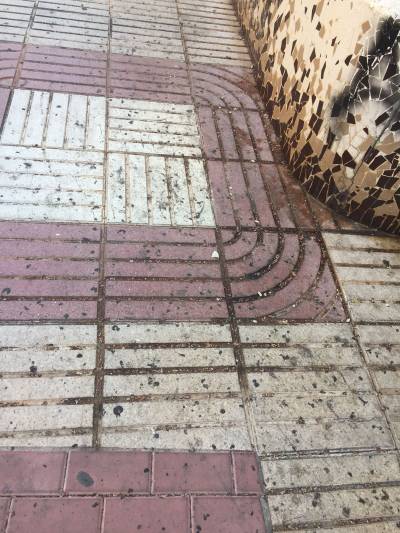 Cs de Vila-real pide limpiar y adecuar la plazoleta de la calle de la Purísima