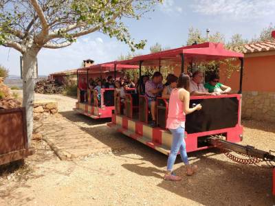 El Parc Miner del Maestrat s'omple de visitants aquest estiu