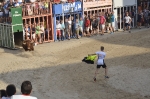 Moncofa inicia sus fiestas patronales con la exhibición de un toro de la ganadería de Albarreal