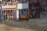 Moncofa inicia sus fiestas patronales con la exhibición de un toro de la ganadería de Albarreal