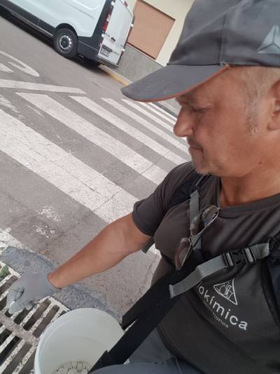 Continúan los trabajos contra los moquitos en Moncofa